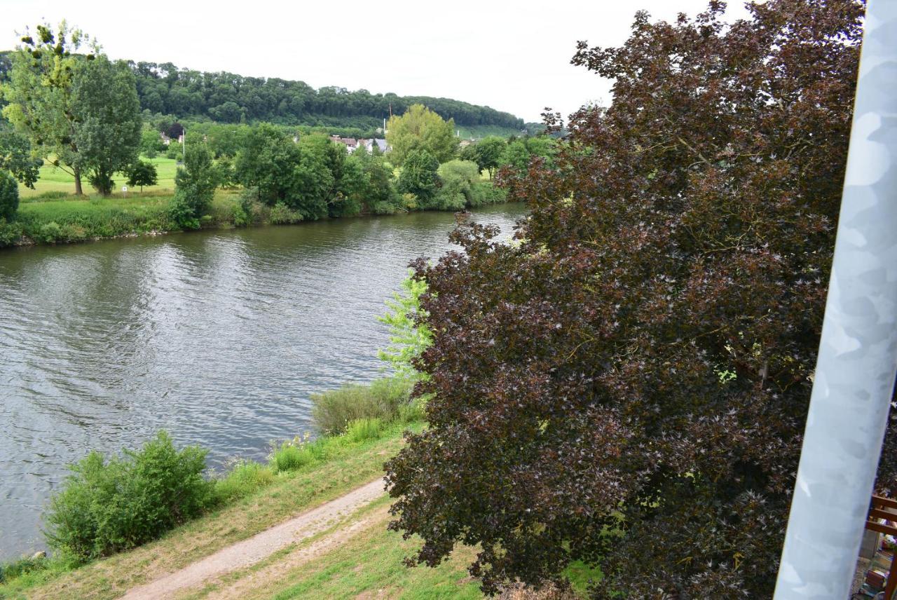 Apartments Mit Klimaanlage Am Neckarufer, Schoene Aussicht Bad Friedrichshall Eksteriør billede